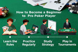 Pro Poker Player